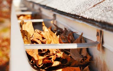 Lee Common gutter cleaning companies