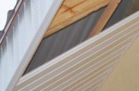 rated Lee Common soffit repair companies